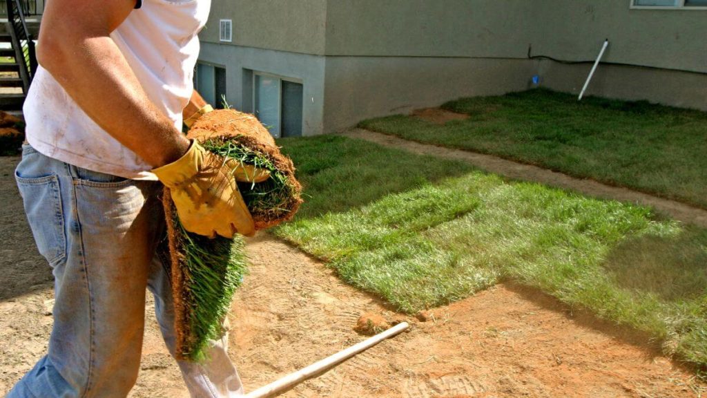 Landscaping & Yard Waste Dumpsters Glendale, AZ